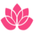 Lotusblüte klein,pink