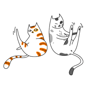 2 Katzen praktizieren Yoga