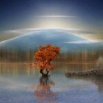 Selbsthypnose: Entgiftung